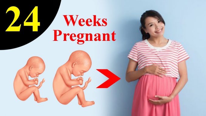 جنین و مادر باردار در هفته 24 بارداری